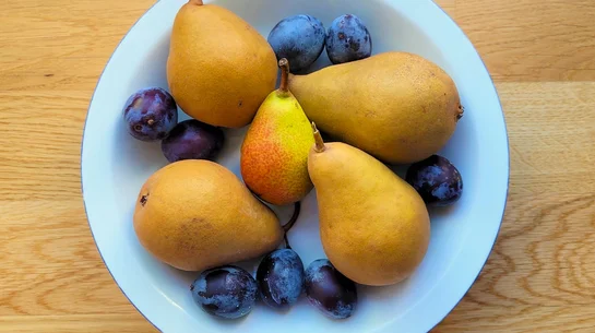 Das Foto zeigt einen mit Obst gefüllten Teller.