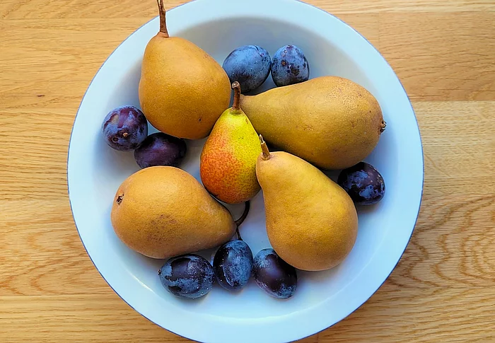 Das Foto zeigt einen mit Obst gefüllten Teller.