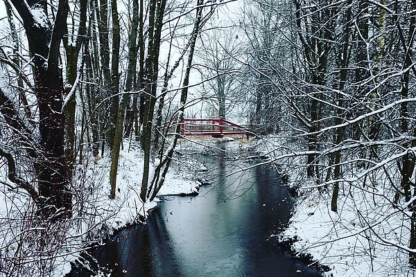 Winter am Naturlehrpfad