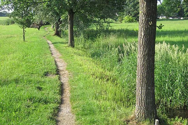 Blick auf den Naturlehrpfad
